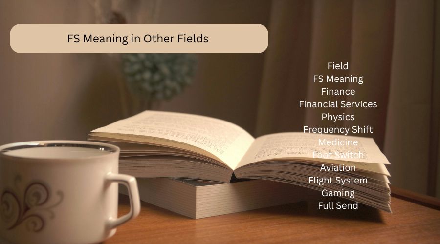 FS Meaning in Other Fields
