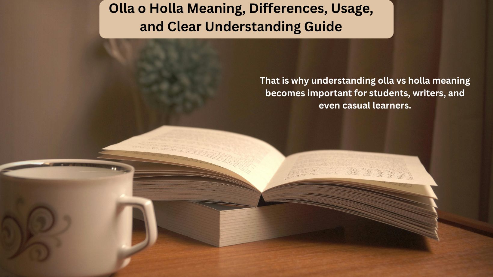 Olla o Holla Meaning, Differences, Usage, and Clear Understanding Guide