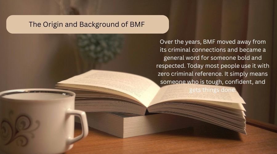 The Origin and Background of BMF